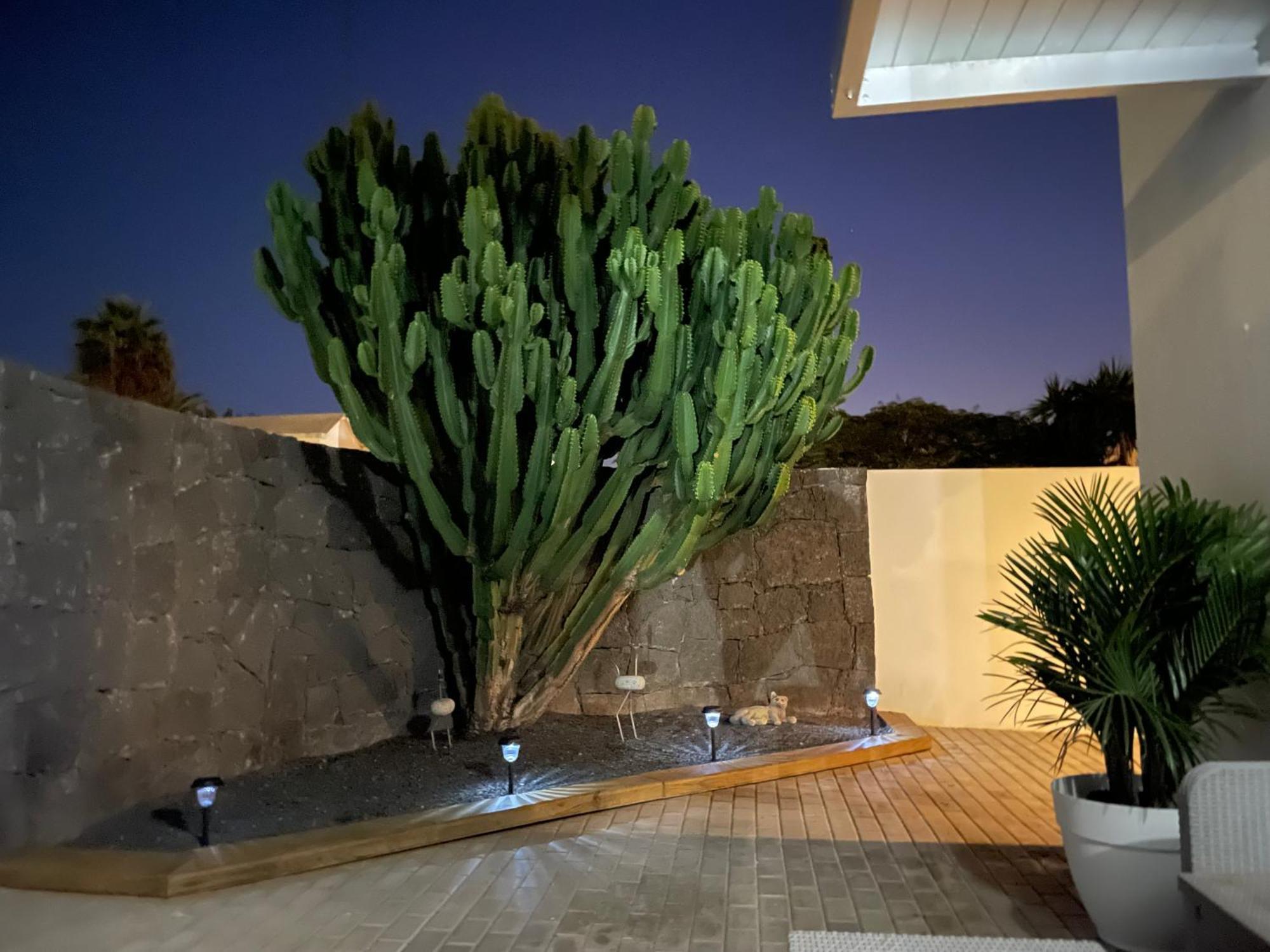 Villa Grey By Vulcano Homes Tahiche Esterno foto